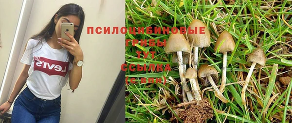 героин Ладушкин