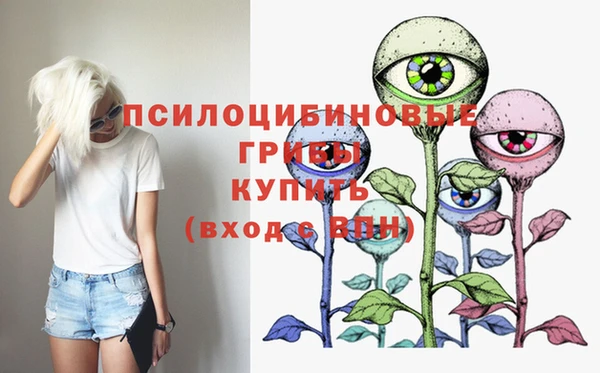 трава Усинск